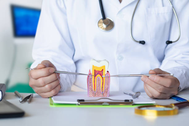Best Walk-In Emergency Dentist in Reese, MI